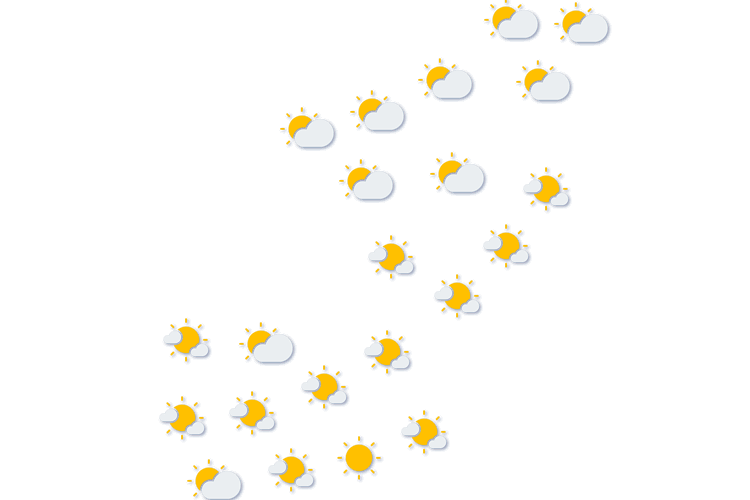 Forecast