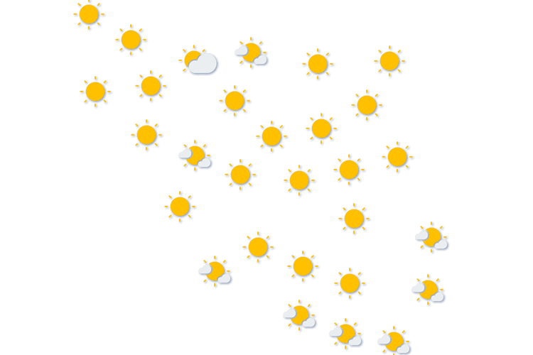 Forecast