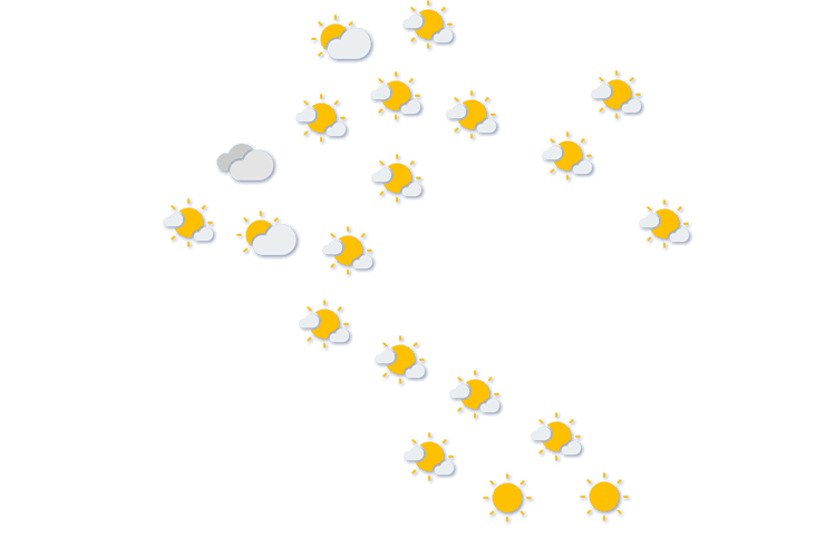 Forecast