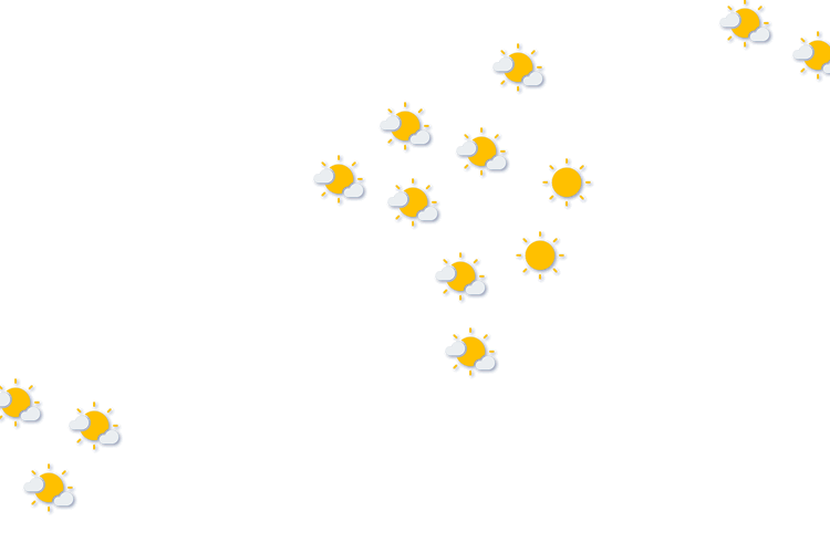 Forecast