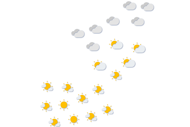 Forecast