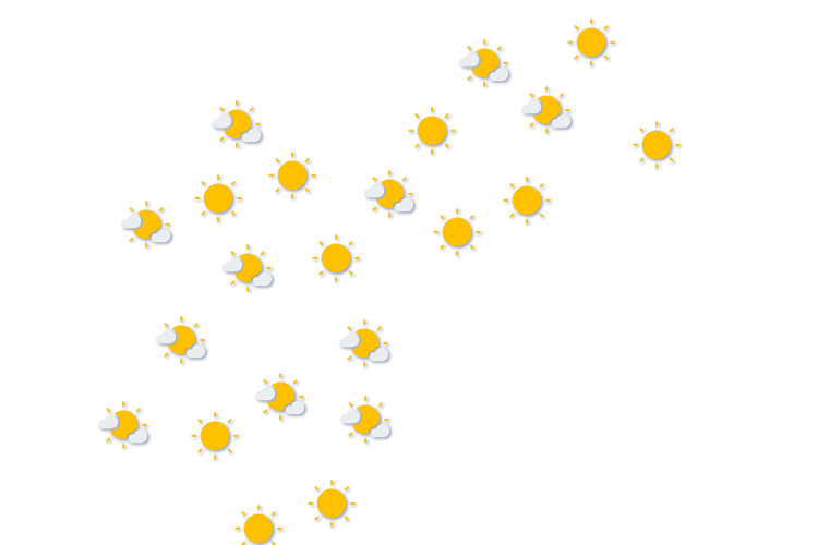 Forecast