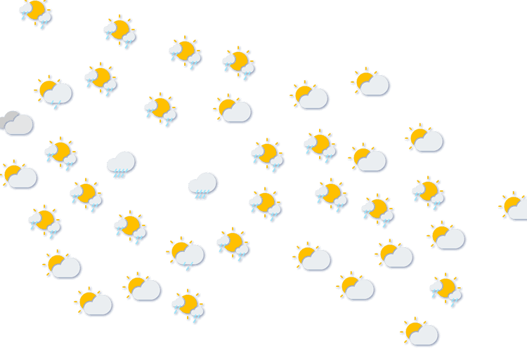 Forecast