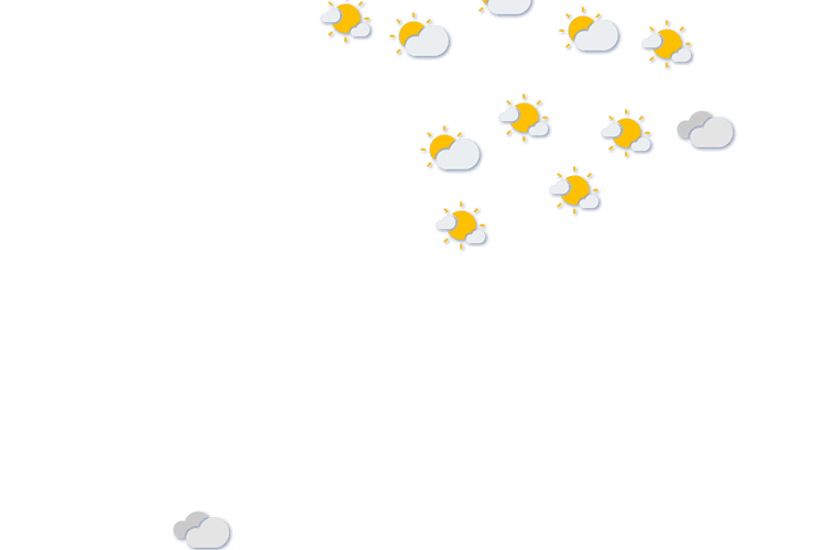 Forecast