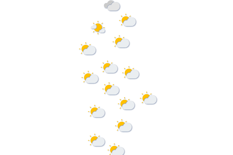 Forecast