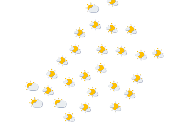 Forecast