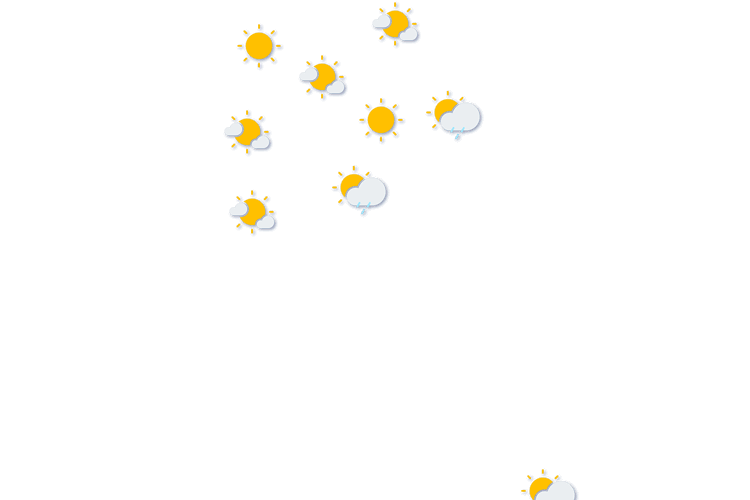 Forecast
