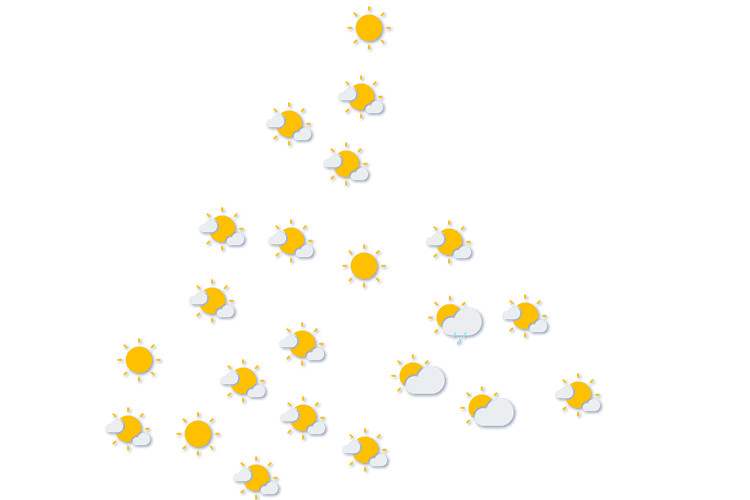 Forecast