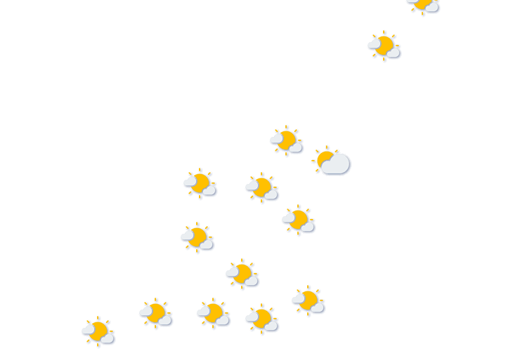 Forecast