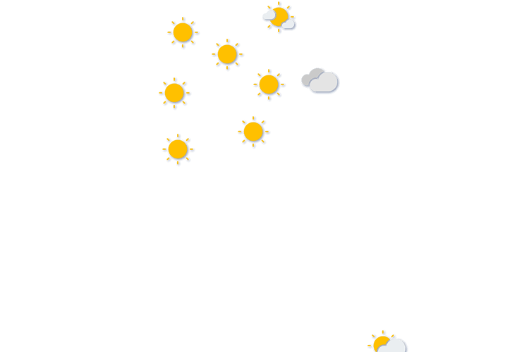 Forecast