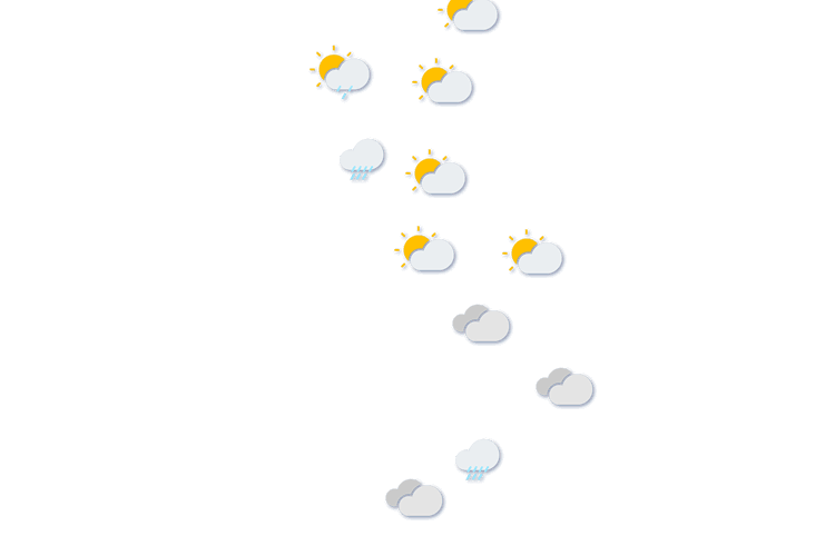 Forecast