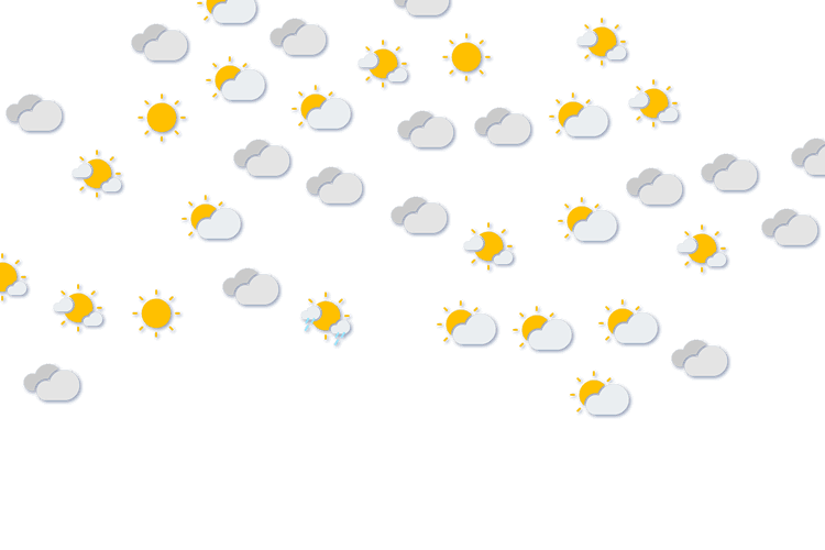 Forecast