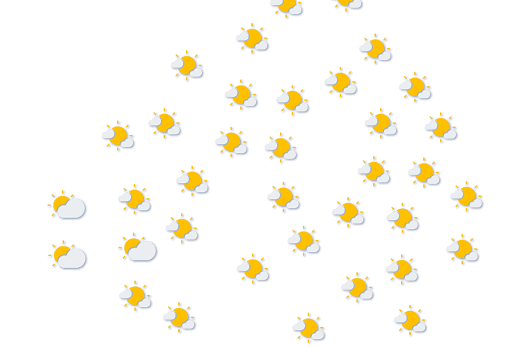 Forecast