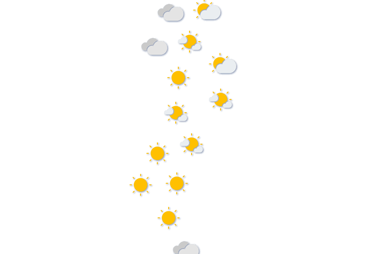 Forecast