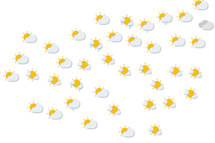 Forecast