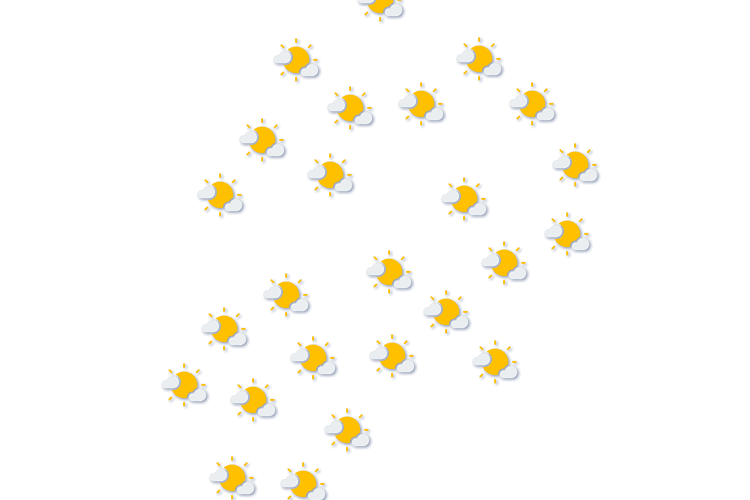Forecast