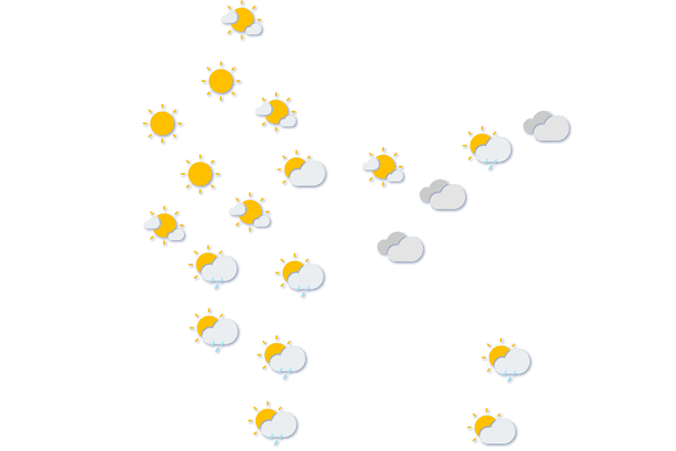 Forecast