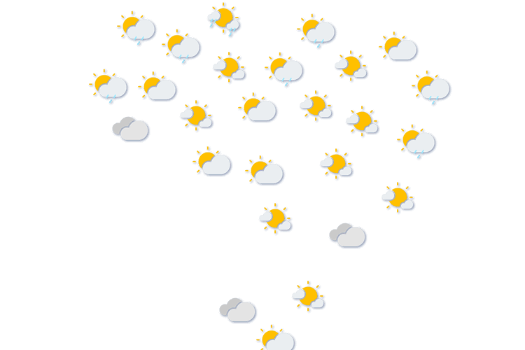 Forecast