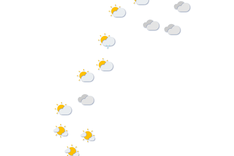 Forecast