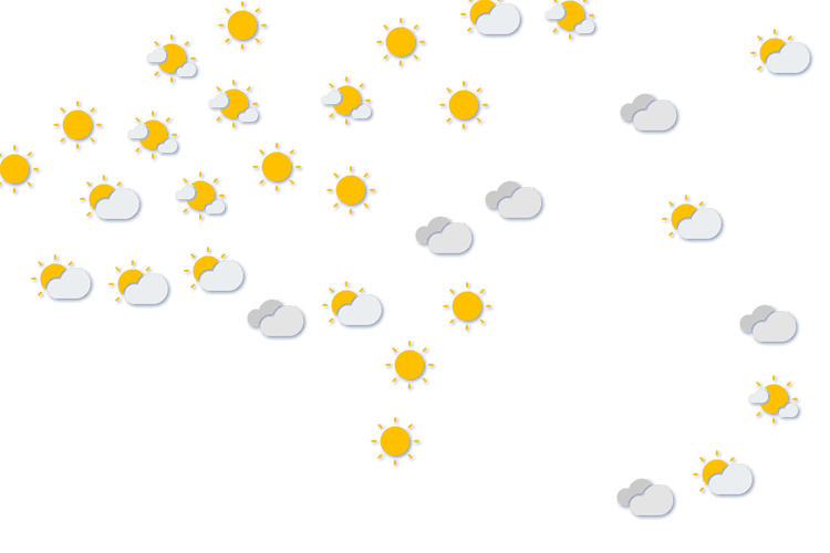 Forecast