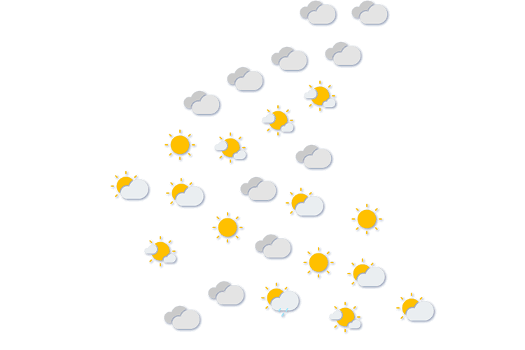 Forecast