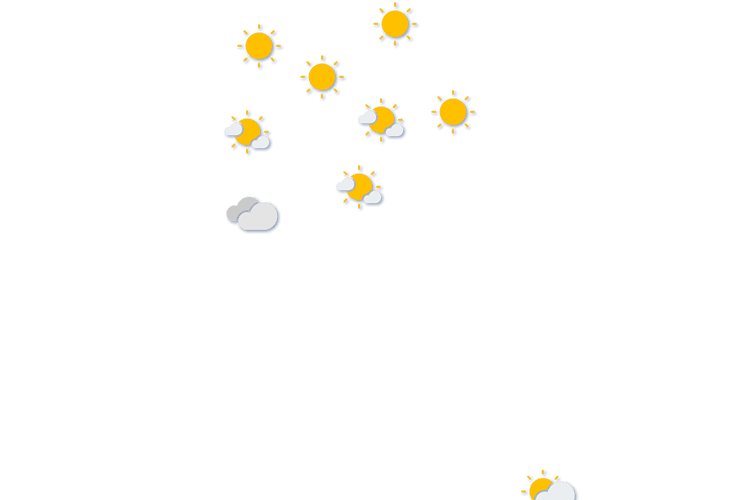 Forecast