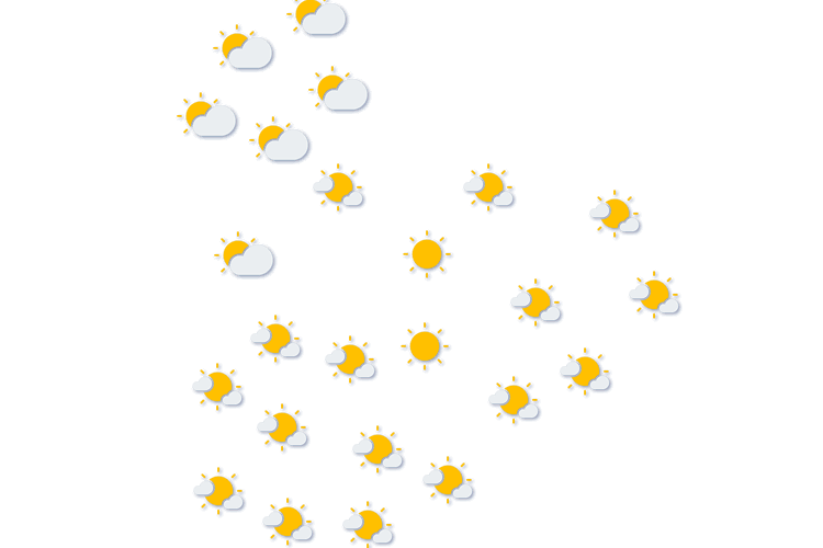 Forecast