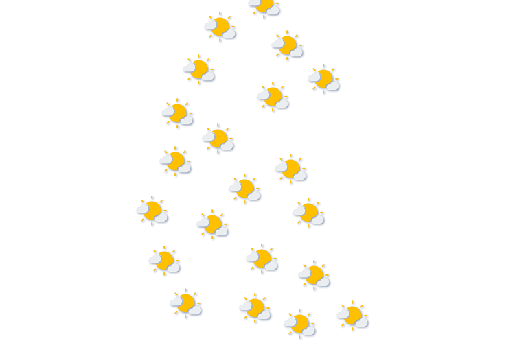 Forecast