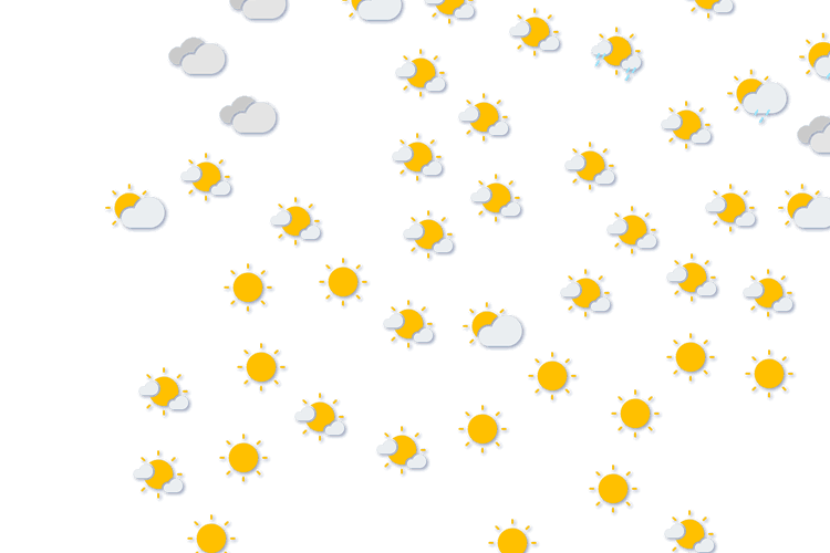 Forecast