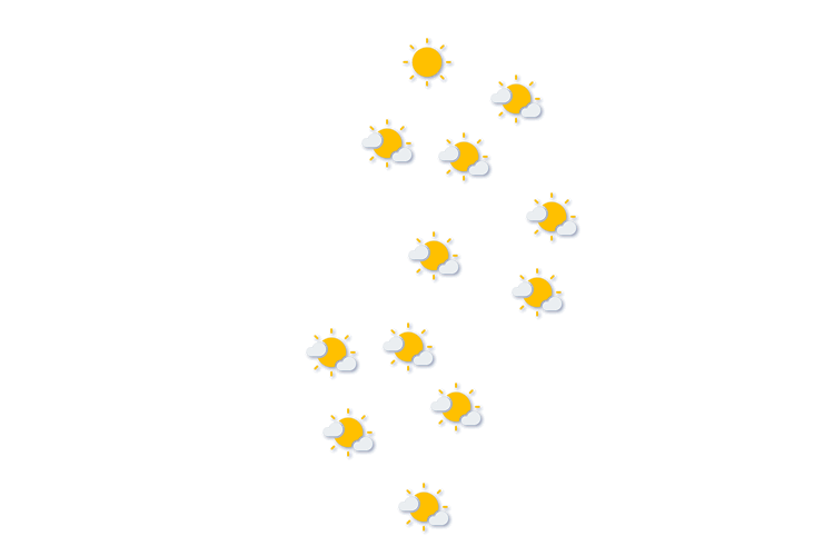 Forecast