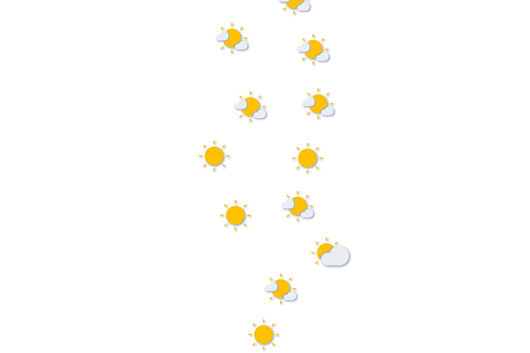 Forecast