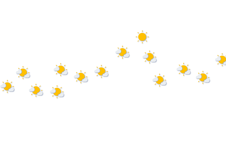 Forecast