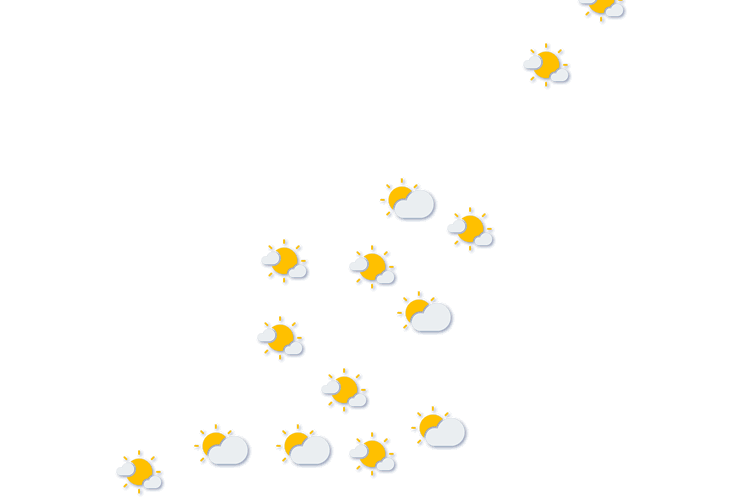 Forecast