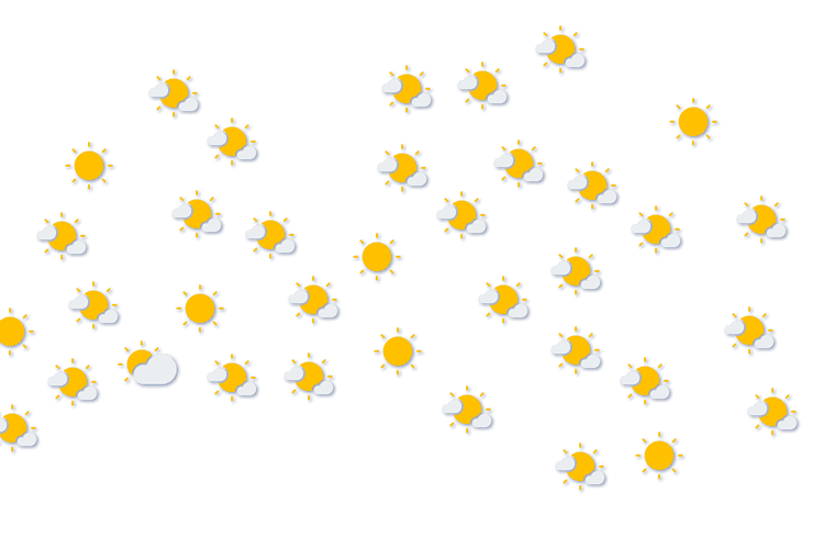 Forecast