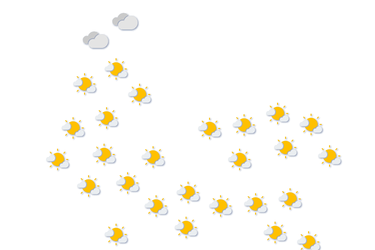 Forecast