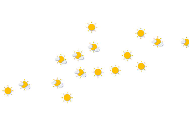 Forecast