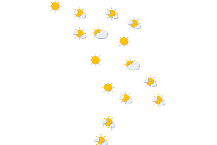 Forecast