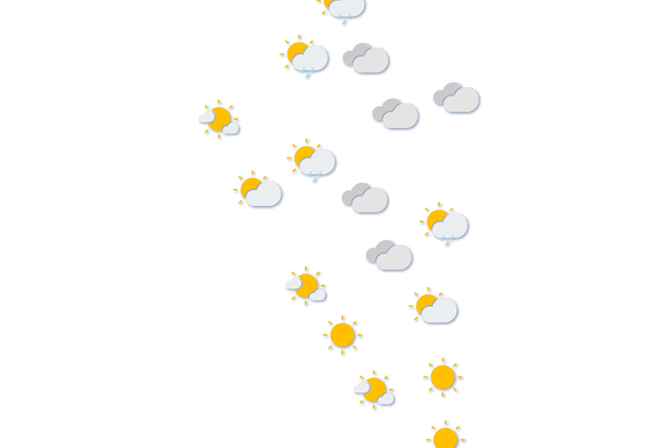 Forecast