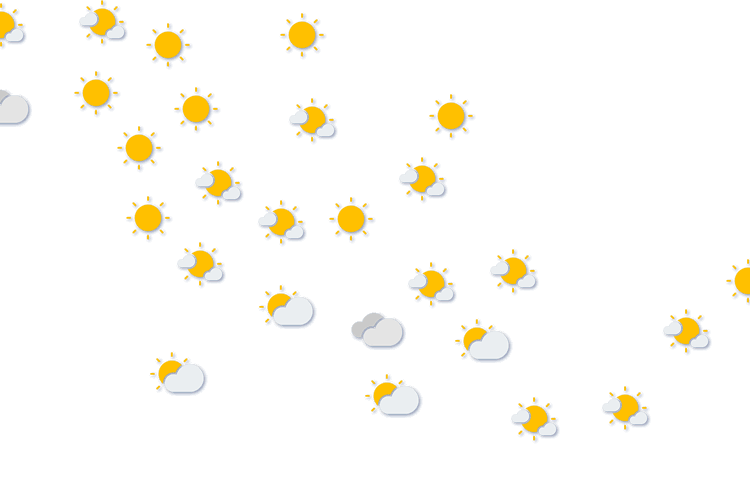 Forecast
