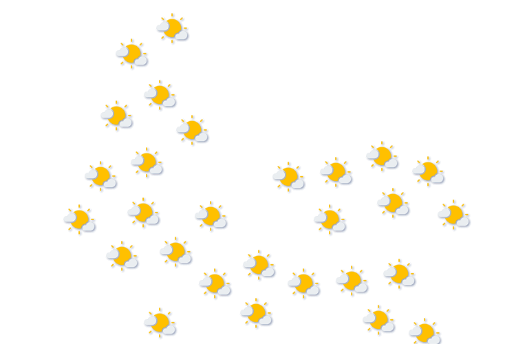 Forecast