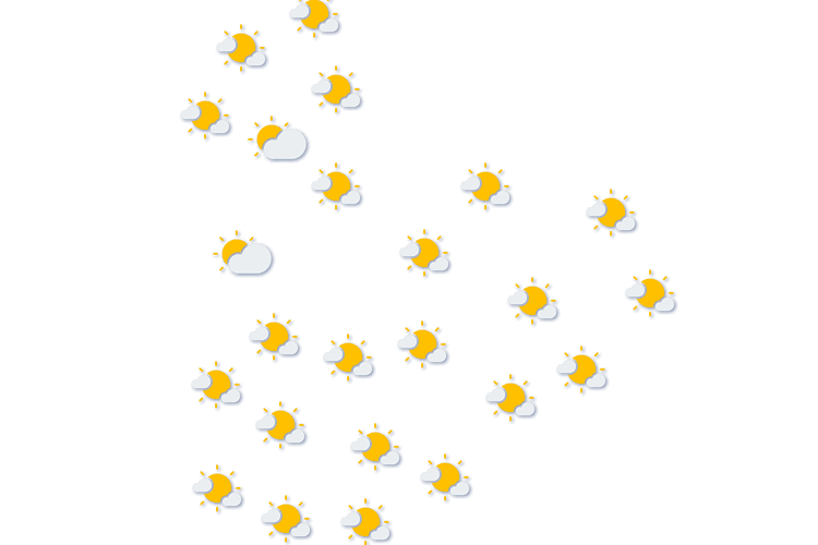 Forecast