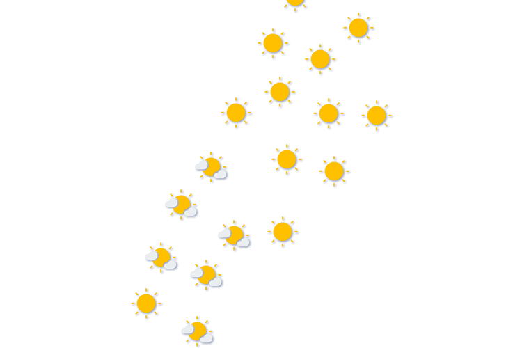 Forecast