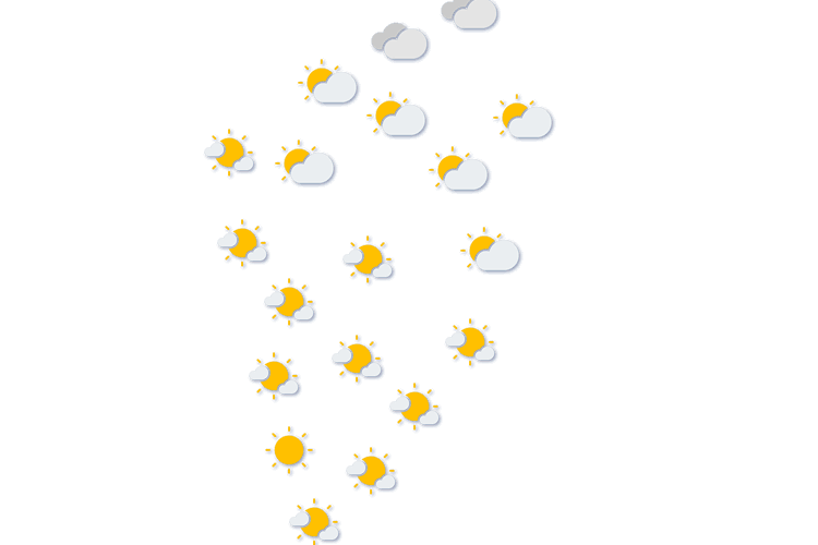 Forecast