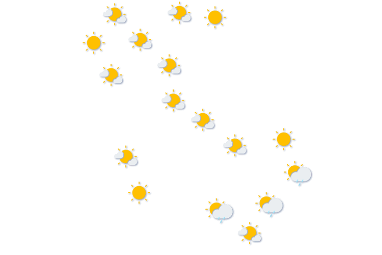 Forecast