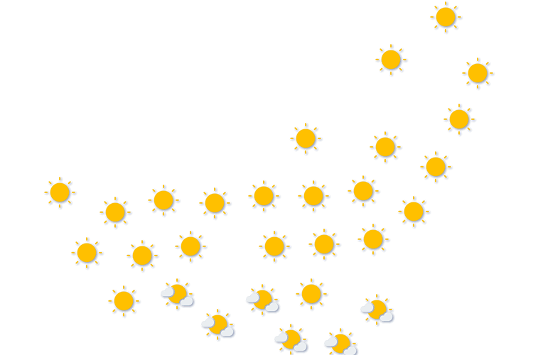 Forecast