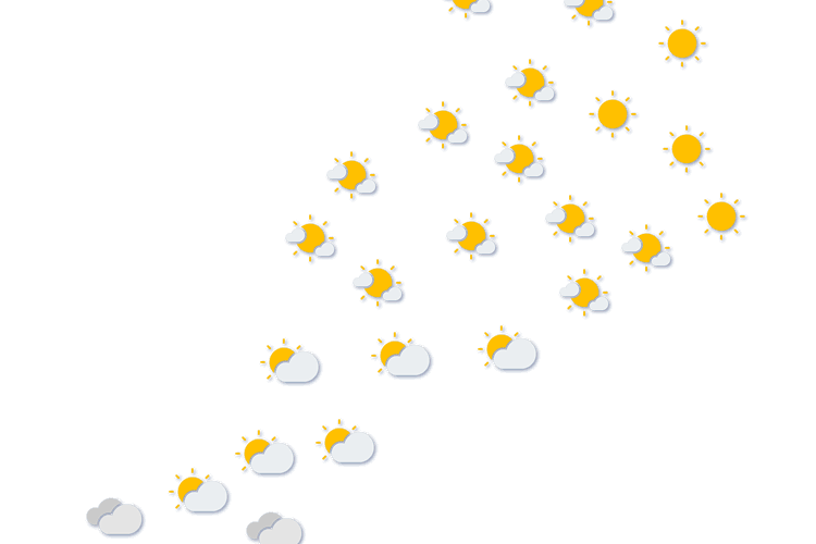 Forecast