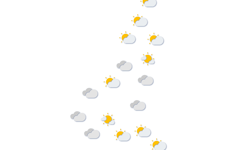 Forecast
