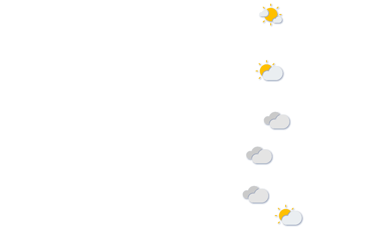 Forecast