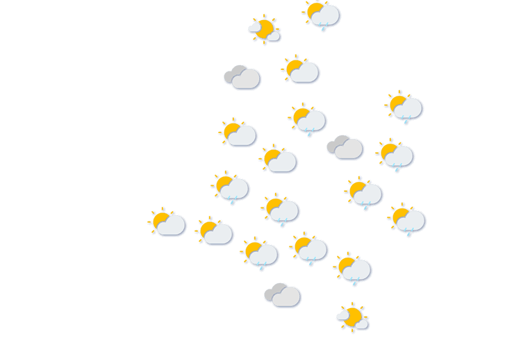 Forecast