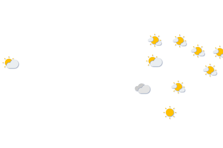 Forecast